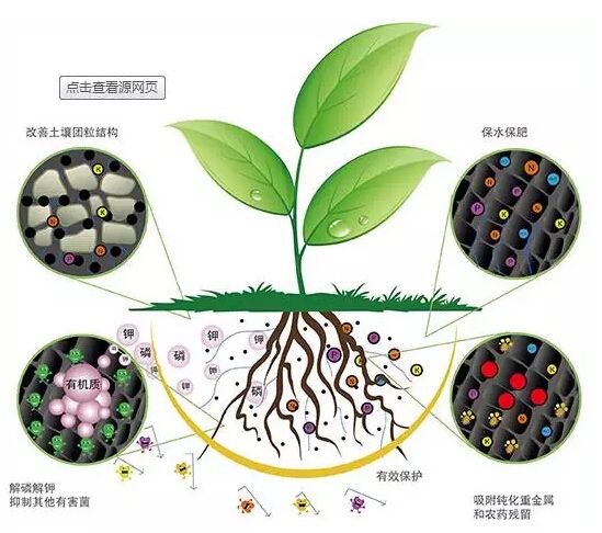 科學(xué)施用生物菌肥好處多多！