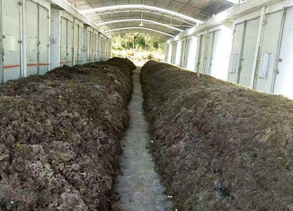 雞糞有機(jī)肥制作_雞糞有機(jī)肥用途有哪些？