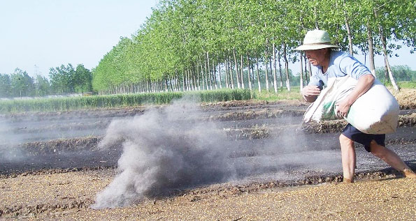 鉀肥是什么肥料，鉀肥的種類有哪些？
