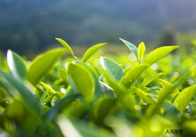 微生物菌劑為什么價格這么高還受到大家喜歡？