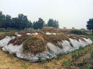 雞糞是怎么發(fā)酵的？雞糞有機(jī)肥發(fā)酵的具體方法和步驟