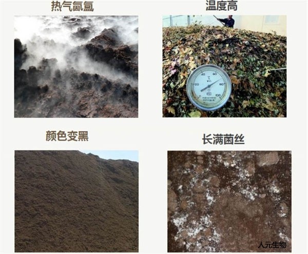 畜禽糞便好氧堆肥發(fā)酵技術