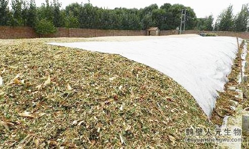 雞糞怎么處理？人元生物來(lái)幫忙