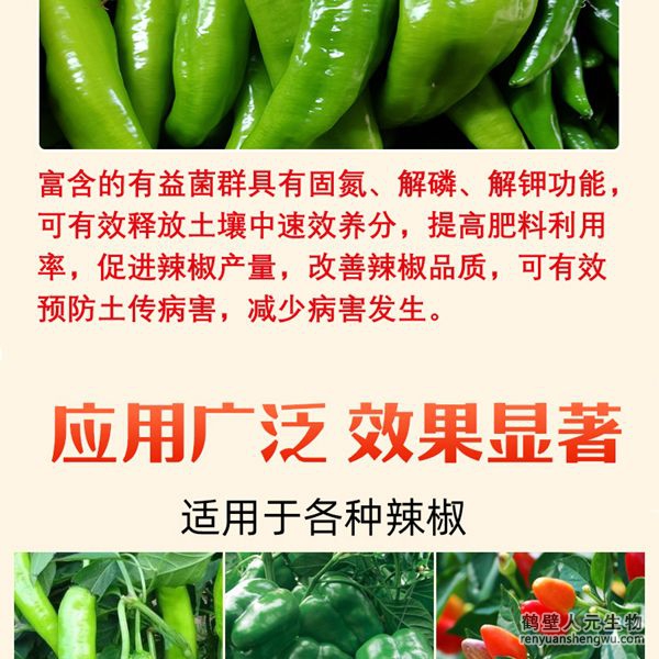 多氨豆粕菌肥系列辣椒專(zhuān)用肥產(chǎn)品特點(diǎn)4